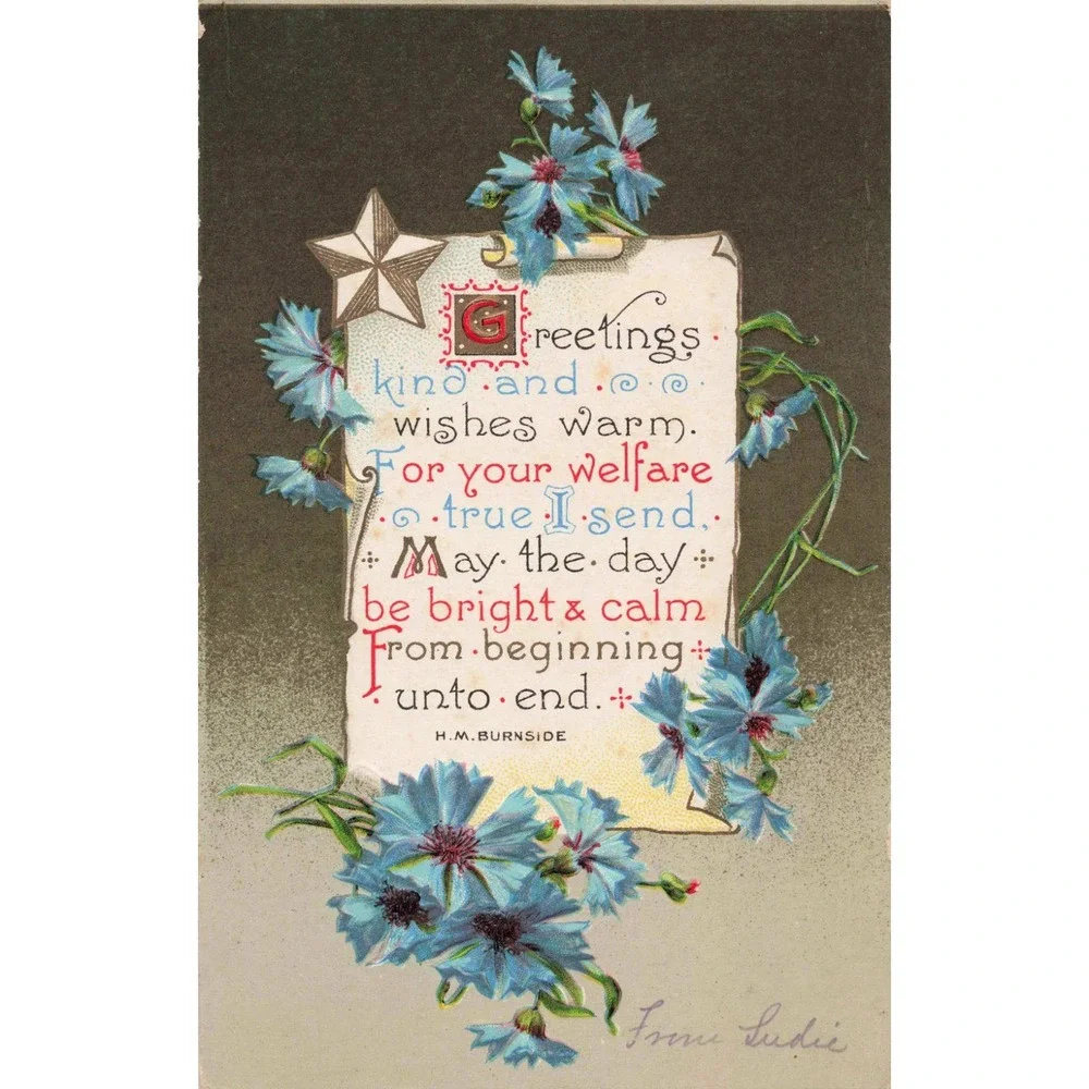 Antique Floral Greeting Postcard HM Burnside Blue Cornflowers 1c Franklin Stamp